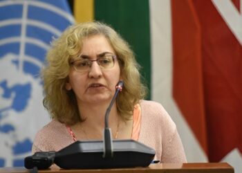 Elizabeth Sidiropoulos, Chief Executive of the South African Institute of International Affairs (SAIIA) (Photo:Twitter(@DIRCO_ZA))